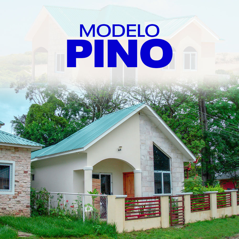 MODELO PINO